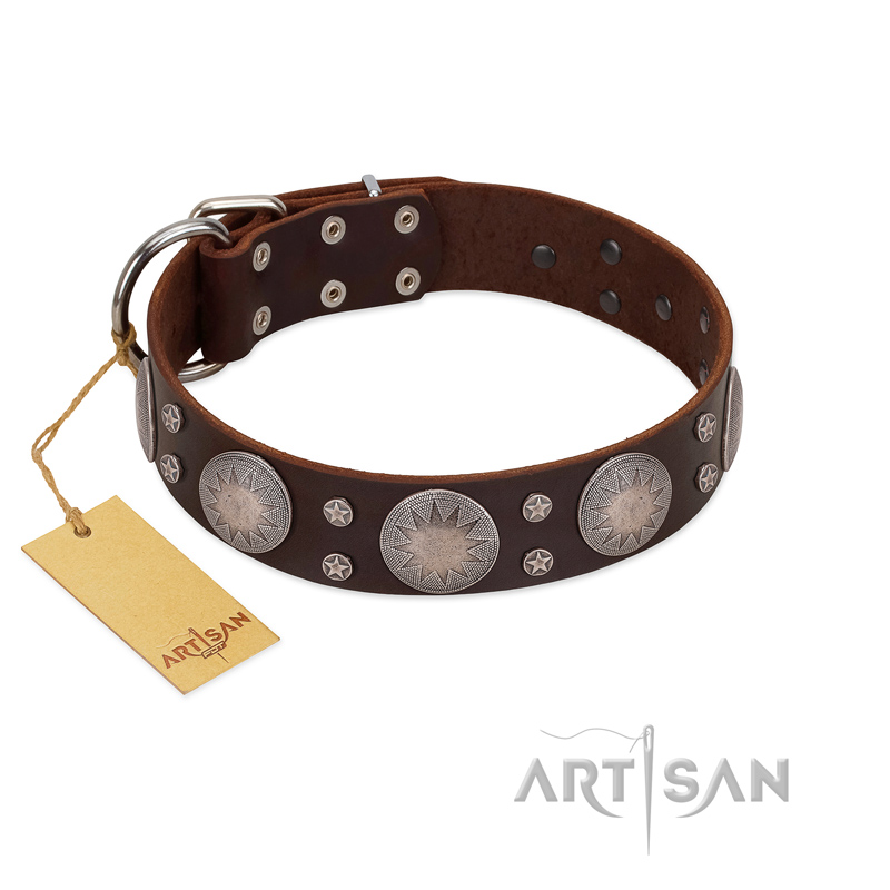 "Imperial Legate" FDT Artisan Brown Leather Swiss Mountain Dog Collar with Big Round Plates