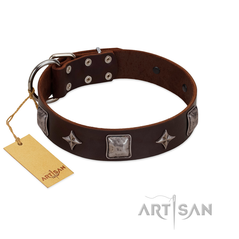 "Cold Star" Designer FDT Artisan Brown Leather Swiss Mountain Dog Collar with Silver-Like Adornments