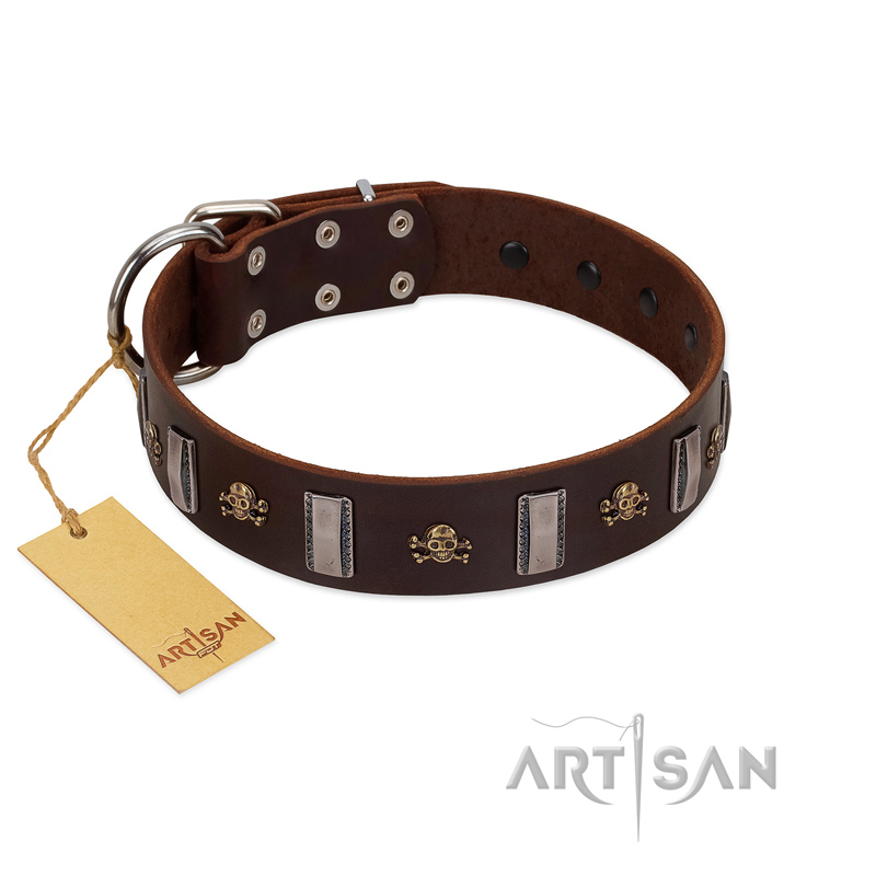 "War Chief" FDT Artisan Genuine Brown Leather Swiss Mountain Dog Collar with Skulls and Plates