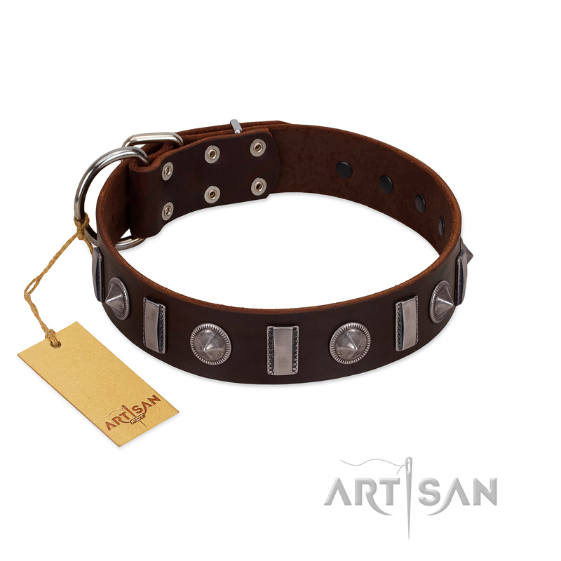 "Spiky Way" FDT Artisan Brown Leather Swiss Mountain Dog Collar with Silver-Like Decorations