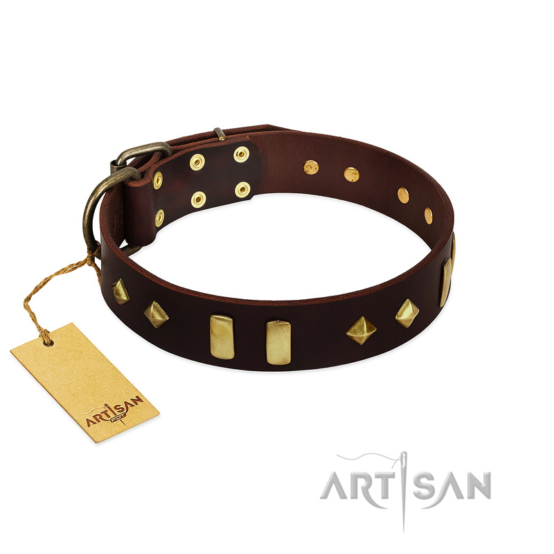 "Blinking Illusion" FDT Artisan Brown Leather Swiss Mountain Dog Collar with Old Bronze-like Studs and Plates