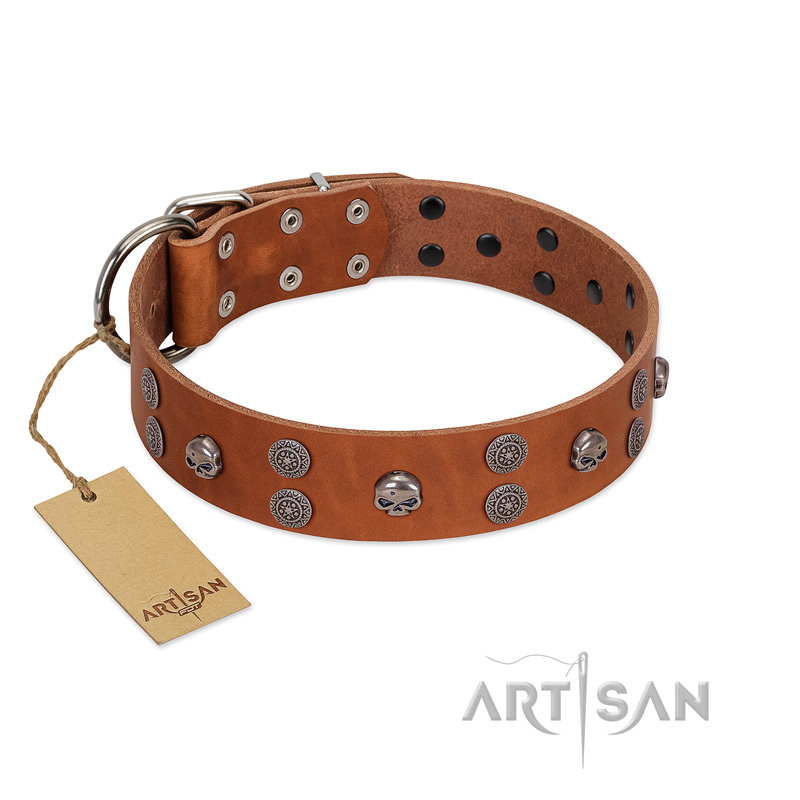 "Road Rider" FDT Artisan Tan Leather Swiss Mountain Dog Collar with Old Silver-like Skulls and Medallions
