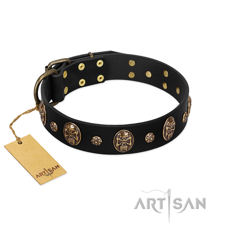 Pirate's Spell' FDT Artisan Black Leather Swiss Mountain Dog Collar with Engraved Studs and Medallions