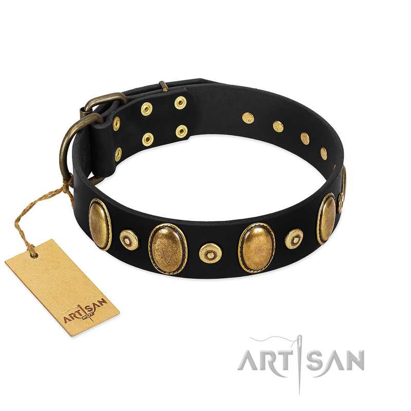 "Venerable Pawty" FDT Artisan Black Leather Swiss Mountain Dog Collar with Old Bronze-like Ovals and Studs