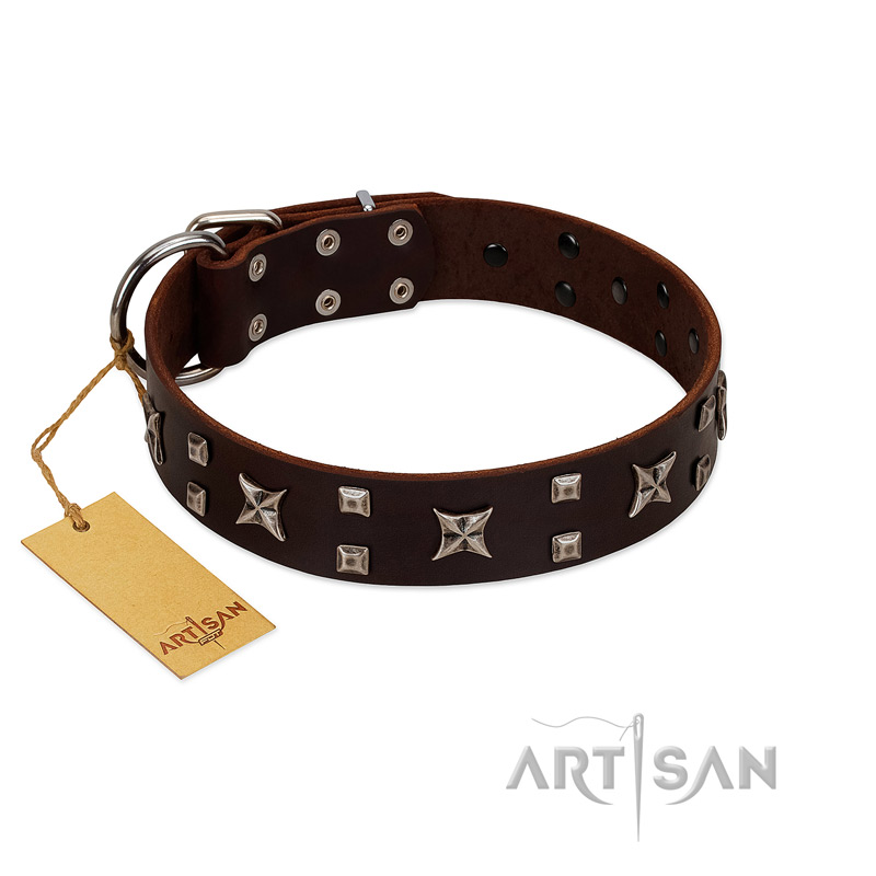 "Bigwig Woof" FDT Artisan Brown Leather Swiss Mountain Dog Collar with Chrome Plated Stars and Square Studs