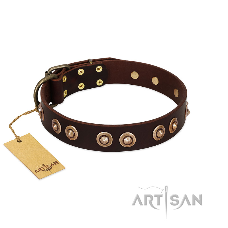 "Woofy Art" FDT Artisan Brown Leather Swiss Mountain Dog Collar Adorned with Old Bronze-like Studs - Click Image to Close
