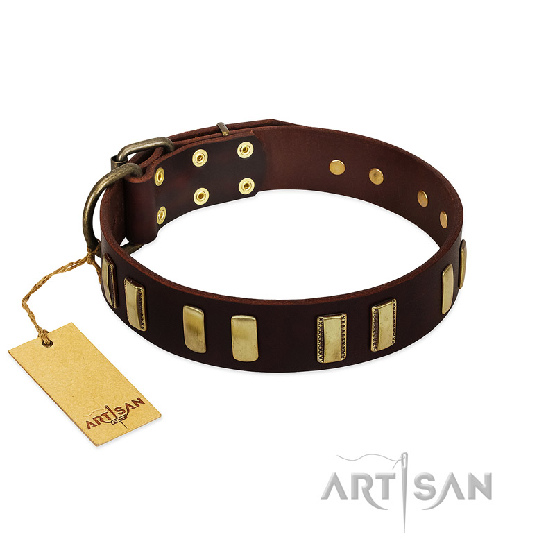 "Peace and Harmony" FDT Artisan Brown Leather Swiss Mountain Dog Collar with Plates