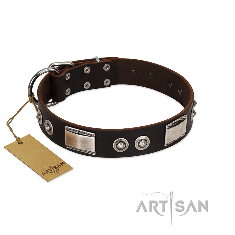 "Baller Status" FDT Artisan Brown Leather Swiss Mountain Dog Collar Adorned with a Set of Chrome Plated Studs and Plates