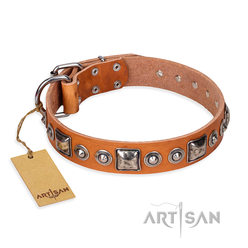 "Era of Future" FDT Artisan Handcrafted Tan Leather Swiss Mountain Dog Collar with Decorations
