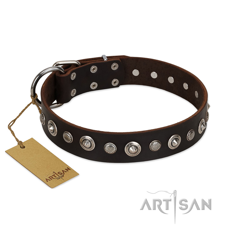 "Gorgeous Shields" FDT Artisan Brown Leather Swiss Mountain Dog Collar with Old Silver-like Circles and Small Camomiles