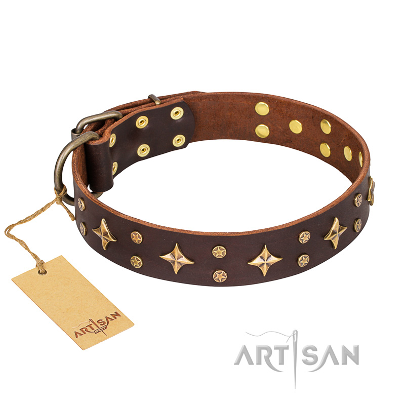 "High Fashion" FDT Artisan Embellished Brown Leather Swiss Mountain Dog Collar