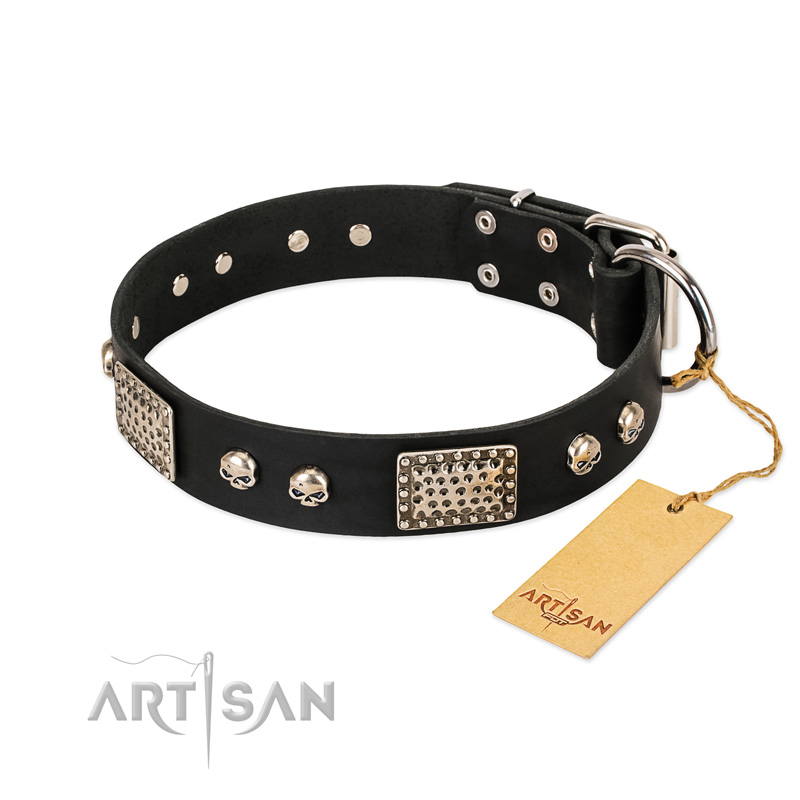 "Pirates Gold" FDT Artisan Black Leather Swiss Mountain Dog Collar with Old Silver Look Plates and Skulls