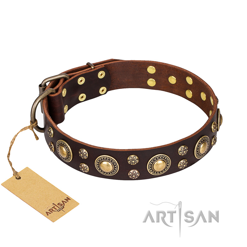 "Flower Melody" FDT Artisan Brown Leather Swiss Mountain Dog Collar with Mixed Studs - Click Image to Close