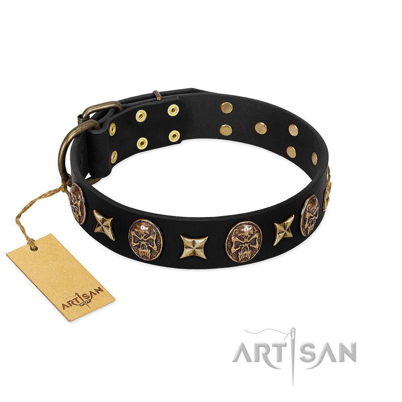"Starry Saga" FDT Artisan Black Leather Swiss Mountain Dog Collar with Stars and Skulls