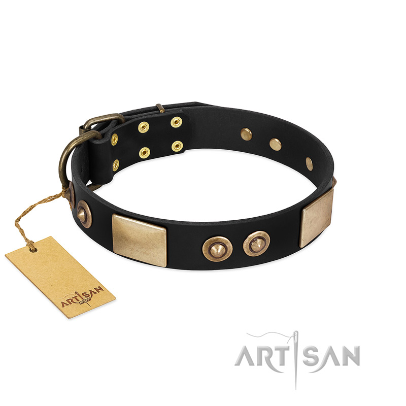 "Moon of Dreams" Black FDT Artisan Leather Swiss Mountain Dog Collar with Plates and Conchos