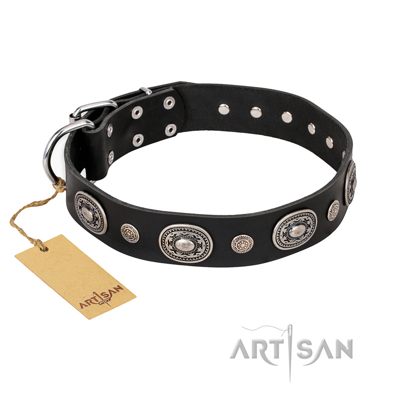"Black Tie" FDT Artisan Leather Swiss Mountain Dog Collar with Old Silver-like Decorations