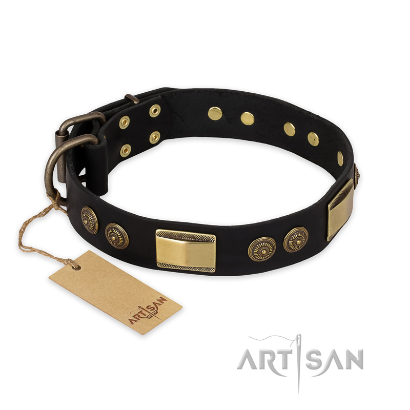 "Ancient Egypt" FDT Artisan Leather Swiss Mountain Dog Collar with Old Bronze Look Decorations