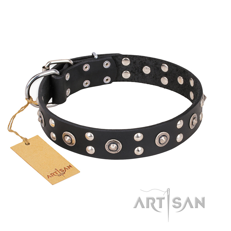 "Refined Essence" FDT Artisan Black Leather Swiss Mountain Dog Collar with Silvery Studs