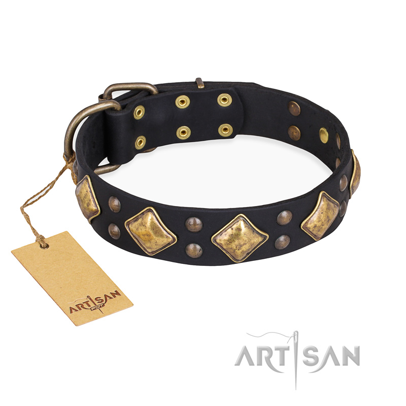 "Fancy-Schmancy" FDT Artisan Studded Leather Swiss Mountain Dog Collar