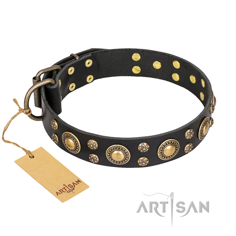 "Baroque Chic" FDT Artisan Studded Black Leather Swiss Mountain Dog Collar