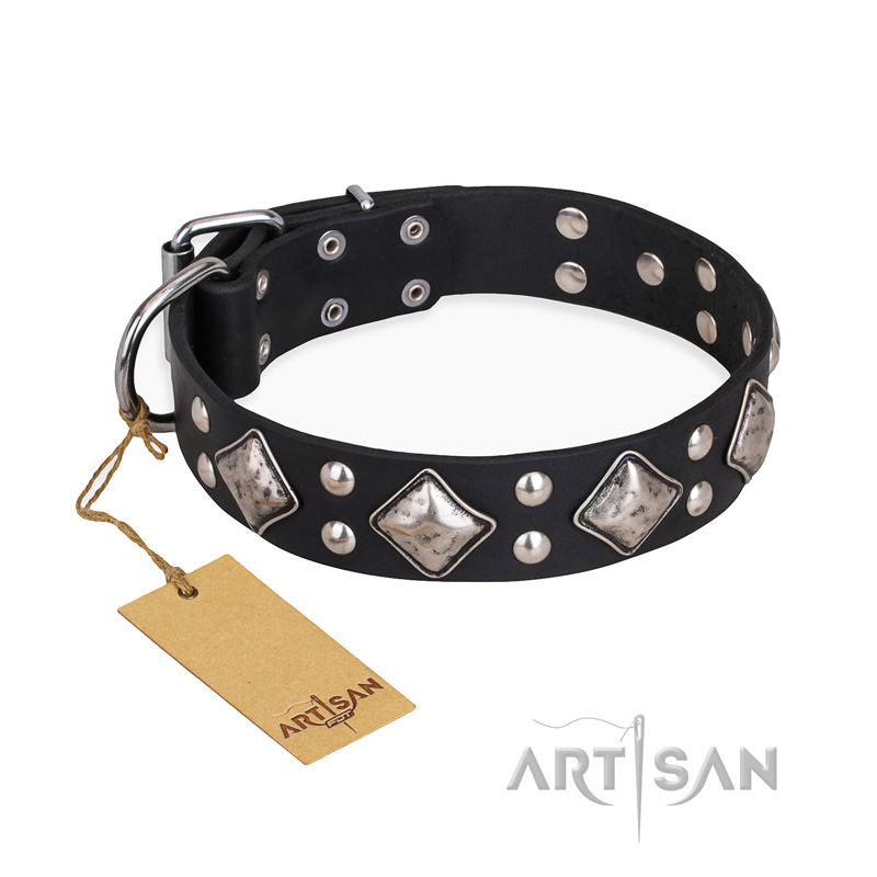 "Smart Geometry" FDT Artisan Studded Leather Swiss Mountain Dog Collar