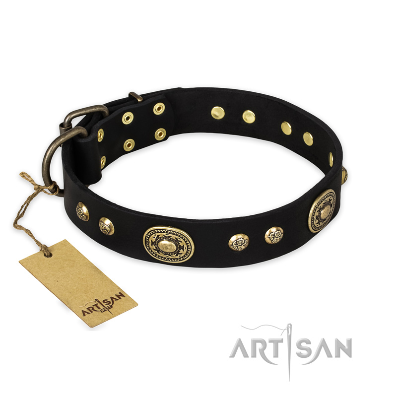 "High Fashion" FDT Artisan Studded with Plates Black Leather Swiss Mountain Dog Collar