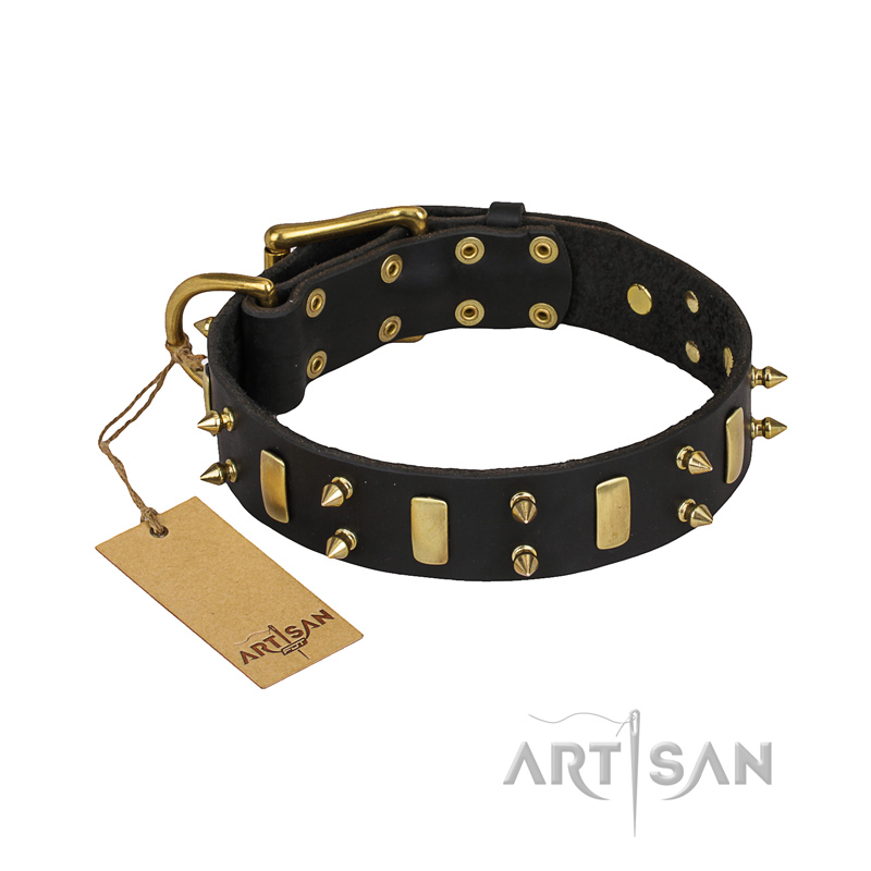 "Medieval Style" FDT Artisan Leather Swiss Mountain Dog Collar with Brass Plated Plates and Spikes