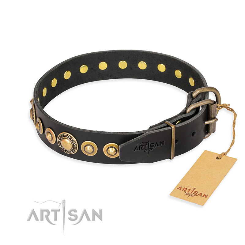 "Gold Mine" FDT Artisan Black Leather Swiss Mountain Dog Collar with Amazing Bronze-Plated Round Studs