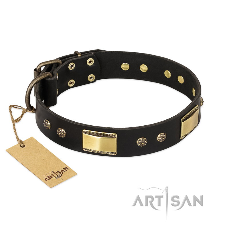 "Black Sun" FDT Artisan Leather Swiss Mountain Dog Collar with Brass Plated Decorations