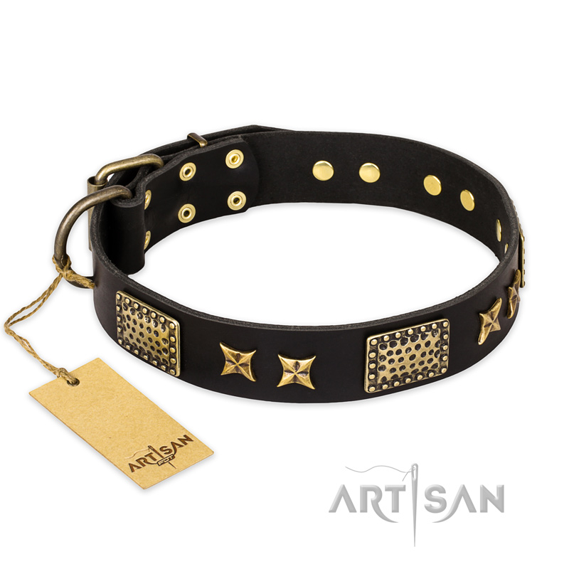"Passion for Style and Beauty" FDT Artisan Decorated Black Leather Swiss Mountain Dog Collar