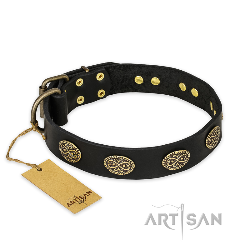 "Vintage Attraction" FDT Artisan Leather Swiss Mountain Dog Collar with Old Bronze Look Plates