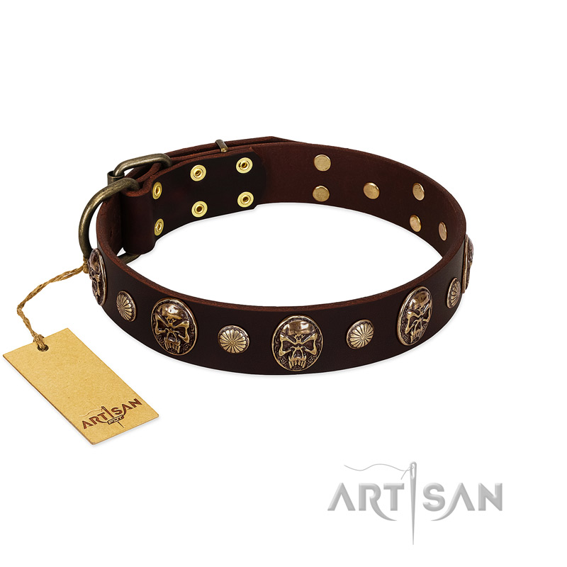 "Snazzy Paws" FDT Artisan Brown Leather Swiss Mountain Dog Collar Adorned with Conchos and Medallions