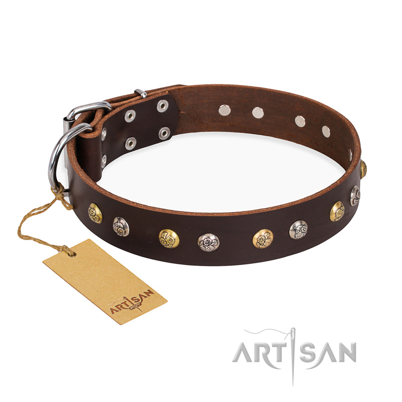 "Golden"n"Silver Luxury" FDT Artisan Leather Swiss Mountain Dog Collar with Engraved Studs