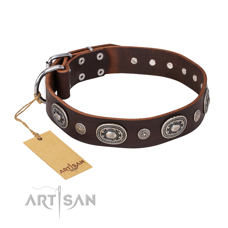 "Extra Pizzazz" FDT Artisan Adorned Brown Leather Swiss Mountain Dog Collar