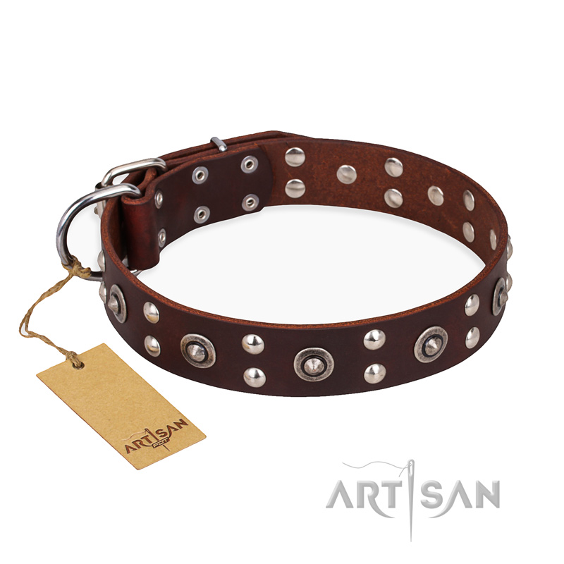 "Pirate Treasure" FDT Artisan Exciting Brown Leather Swiss Mountain Dog Collar with Studs