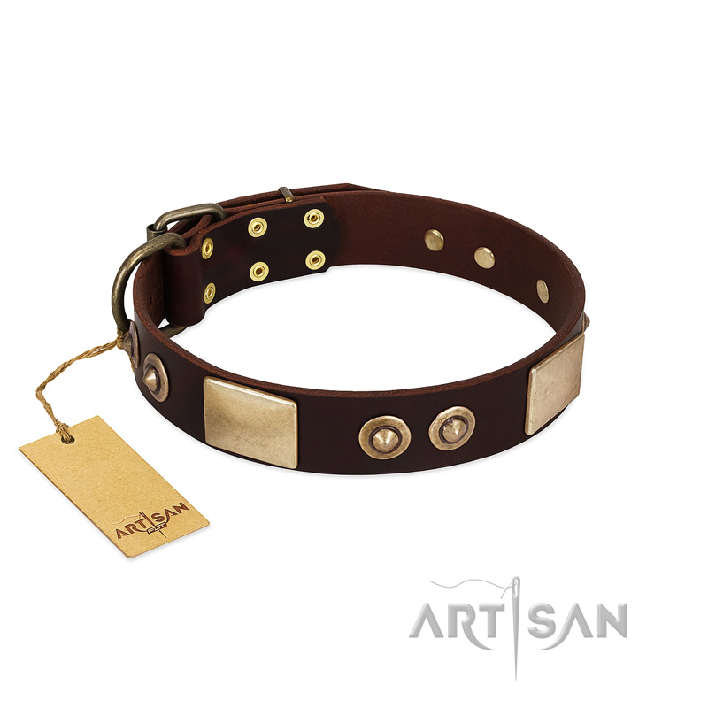 "Sense of Freedom" FDT Artisan Brown Leather Swiss Mountain Dog Collar with Old Bronze-Plated Studs and Plates