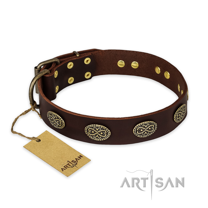 "Chocolate kiss" FDT Artisan Leather Swiss Mountain Dog Collar with Old Bronze Look Oval Plates