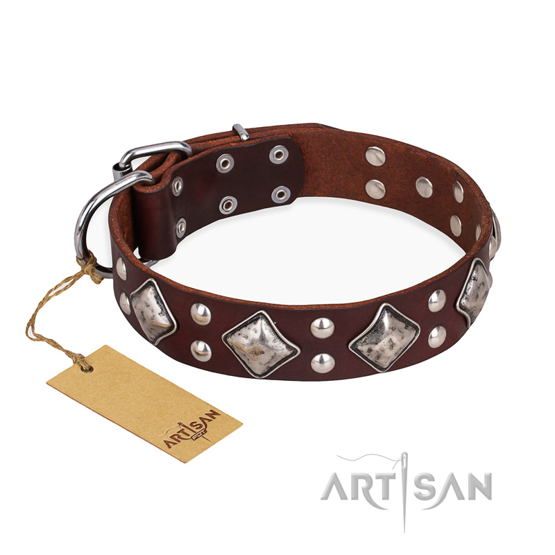 "King of Grace" FDT Artisan Stylish Leather Swiss Mountain Dog Collar with Old Silver-Like Plated Decorations