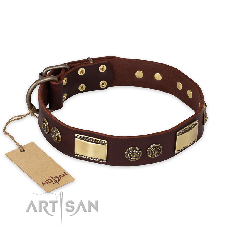 "Golden Stones" FDT Artisan Brown Leather Swiss Mountain Dog Collar with Old Bronze Look Plates and Circles