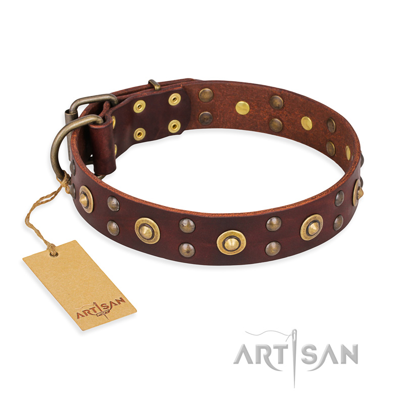"Caprice of Fashion" FDT Artisan Brown Leather Swiss Mountain Dog Collar with Round Decorations