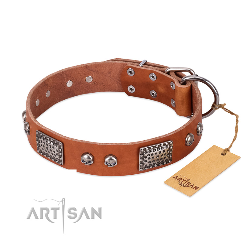 "Sparkling Skull" FDT Artisan Tan Leather Swiss Mountain Dog Collar with Old Silver Look Plates and Skulls