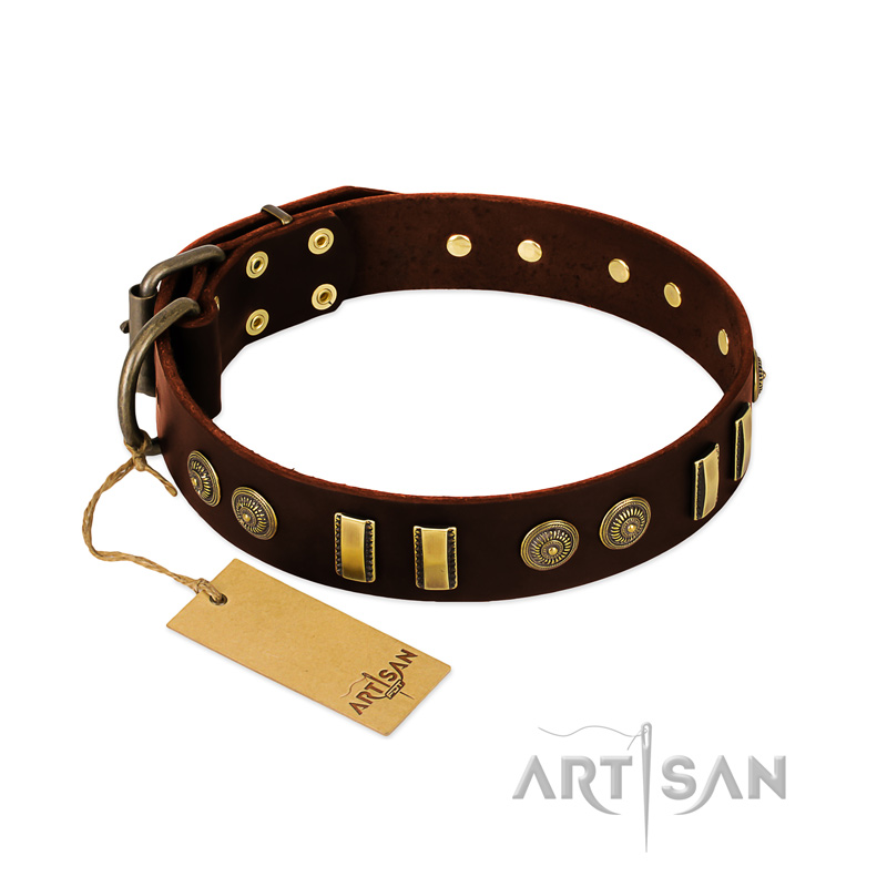 "Golden Elegance" FDT Artisan Brown Leather Swiss Mountain Dog Collar with Old Bronze-like Decorations