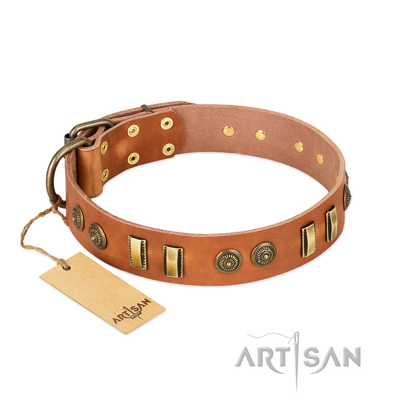 "Natural Beauty" FDT Artisan Tan Leather Swiss Mountain Dog Collar with Old Bronze-like Circles and Plates