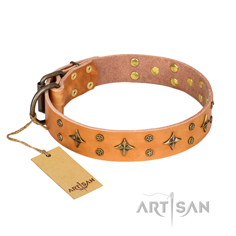 "Top-Flight" FDT Artisan Adorned Tan Leather Swiss Mountain Dog Collar