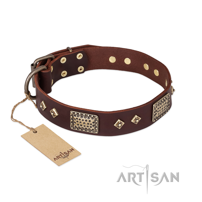 "Loving Owner" FDT Artisan Decorated Leather Swiss Mountain Dog Collar with Plates and Studs
