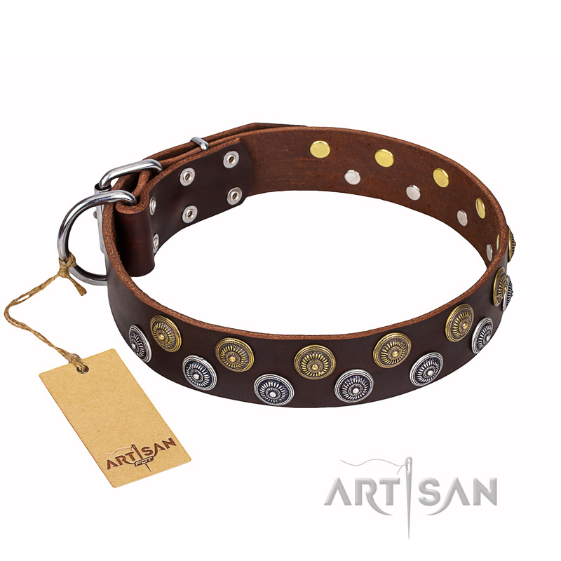 "Strong Shields" FDT Artisan leather Swiss Mountain Dog collar with stylish decorations