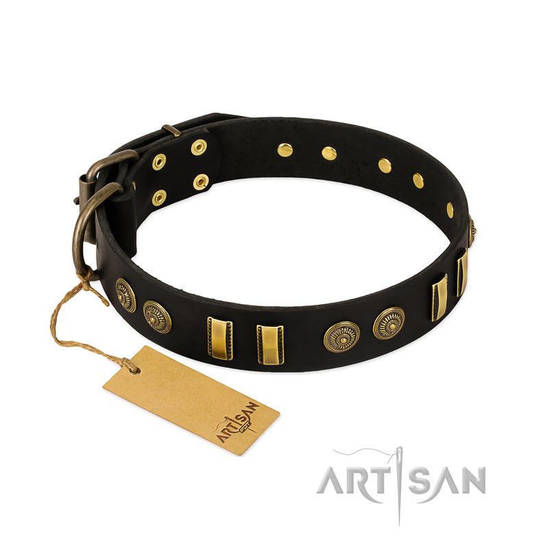 "Simple Elegance" FDT Artisan Black Leather Swiss Mountain Dog Collar with Old Bronze-like Plates and Circles