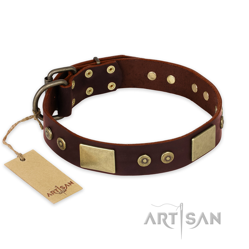 "Shining Armour" FDT Artisan Brown Leather Swiss Mountain Dog Collar with Decorations