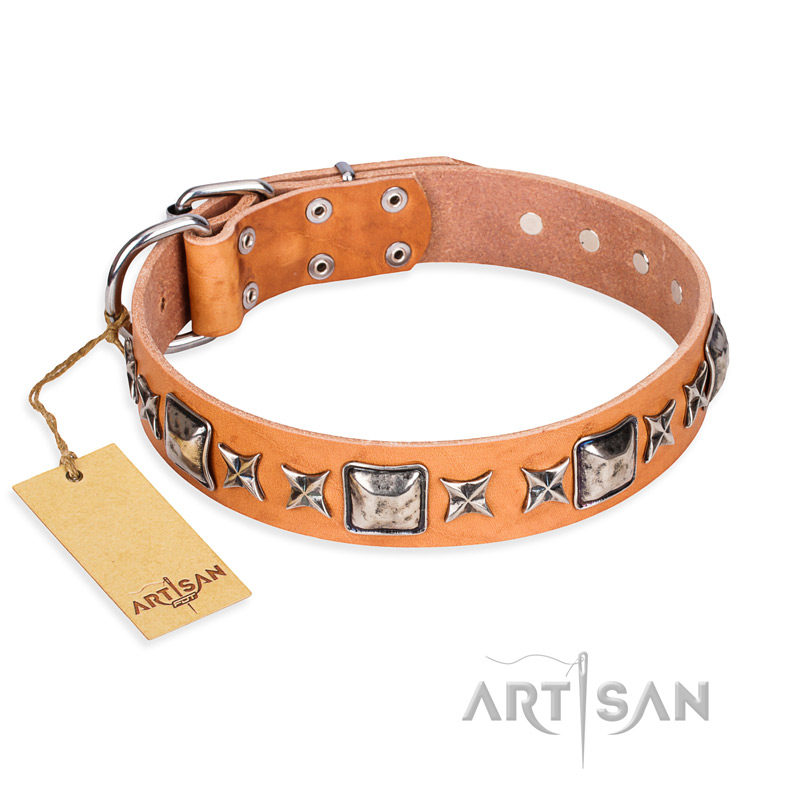 "Glamour Finery" FDT Artisan Female Swiss Mountain Dog collar of natural leather with stylish old-looking circles