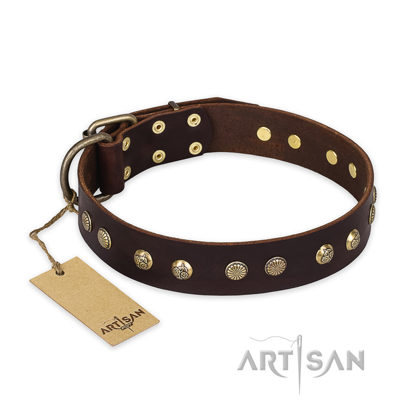 "Bronze Sheen" FDT Artisan Leather Swiss Mountain Dog Collar with Brass-Plated Studs